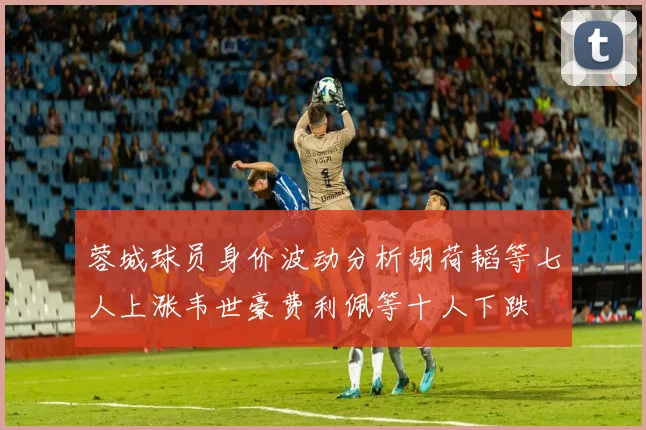 蓉城球员身价波动分析胡荷韬等七人上涨韦世豪费利佩等十人下跌