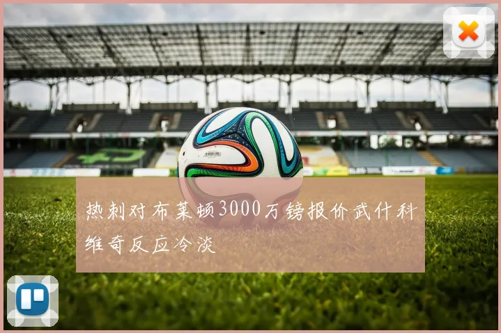 热刺对布莱顿3000万镑报价武什科维奇反应冷淡